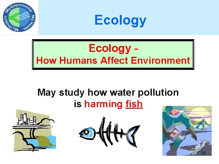 Ecology How Humans Affect Environment May study how water pollution is harming fish 36