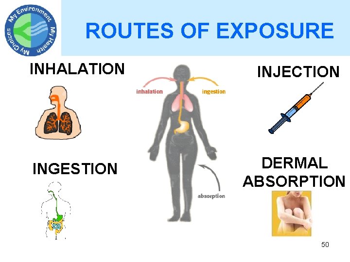 ROUTES OF EXPOSURE INHALATION INJECTION INGESTION DERMAL ABSORPTION 50 