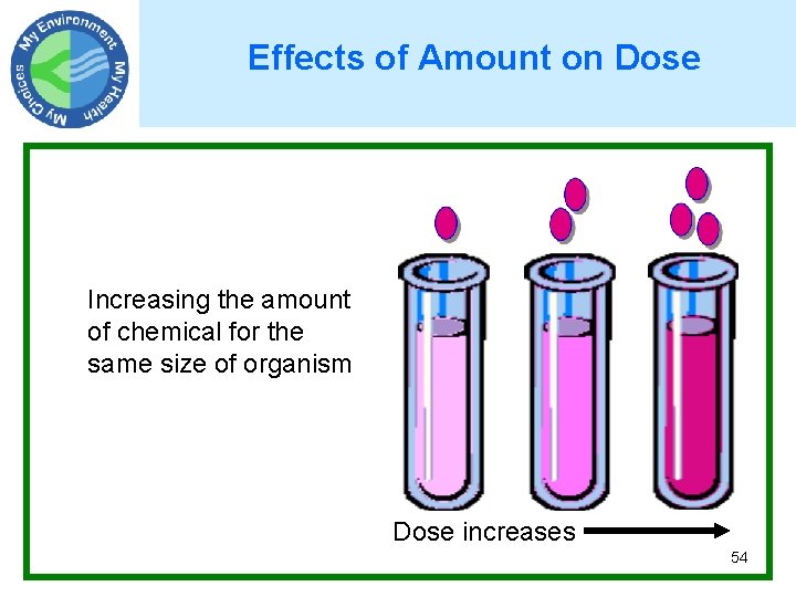 Effects of Amount on Dose Increasing the amount of chemical for the same size