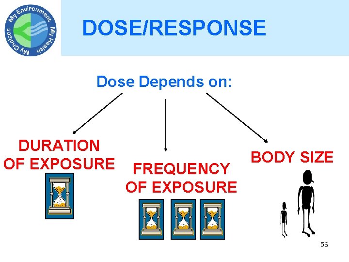 DOSE/RESPONSE Dose Depends on: DURATION OF EXPOSURE FREQUENCY OF EXPOSURE BODY SIZE 56 