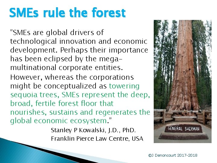 SMEs rule the forest “SMEs are global drivers of technological innovation and economic development.