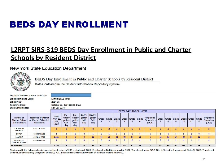 BEDS DAY ENROLLMENT L 2 RPT SIRS-319 BEDS Day Enrollment in Public and Charter