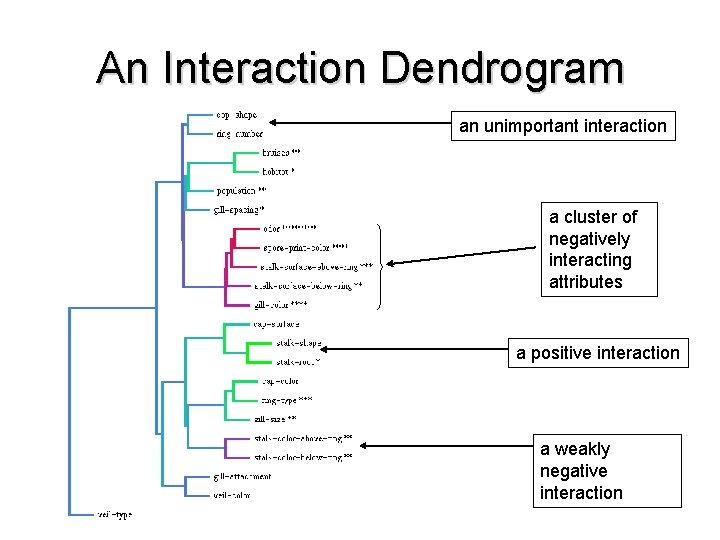 An Interaction Dendrogram an unimportant interaction a cluster of negatively interacting attributes a positive