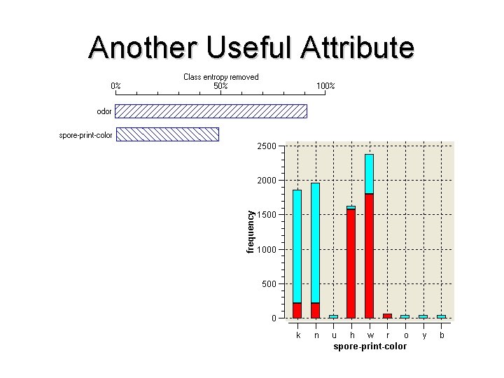 Another Useful Attribute 