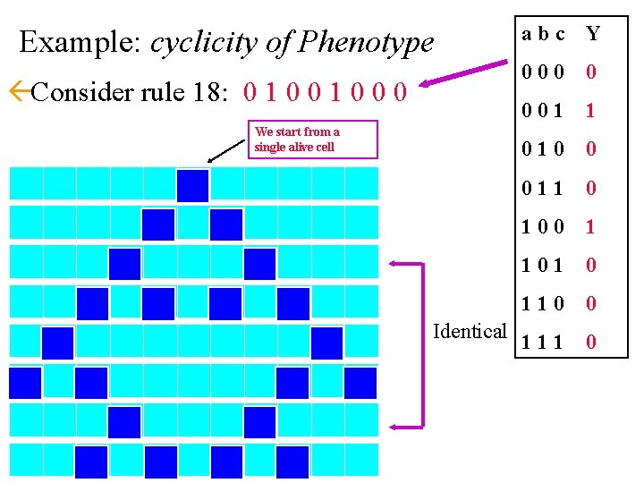 Example: cyclicity of Phenotype abc Y 000 0 ßConsider rule 18: 0 1 0