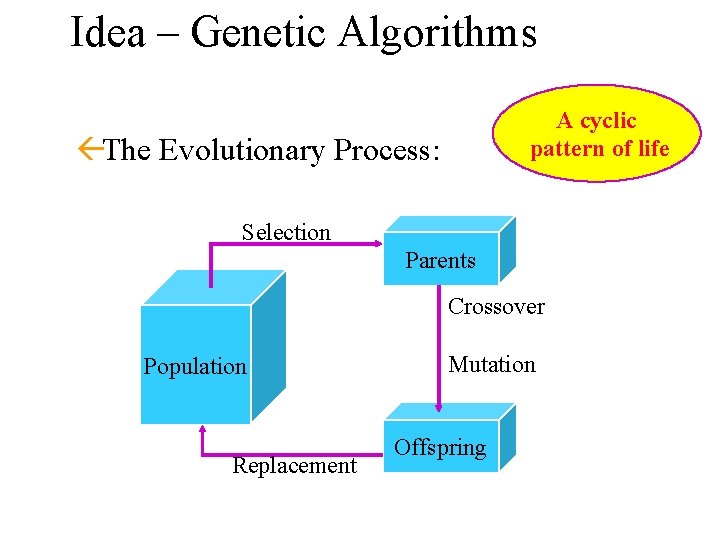 Idea – Genetic Algorithms A cyclic pattern of life ßThe Evolutionary Process: Selection Parents