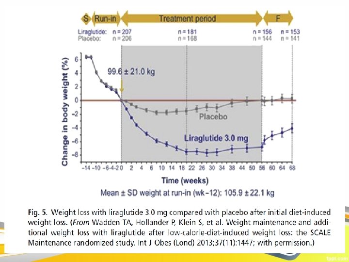  • Given the capacity of GLP-1 to promote pancreatic b-cell insulin • secretion