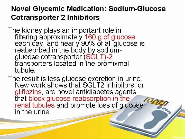 Novel Glycemic Medication: Sodium-Glucose Cotransporter 2 Inhibitors The kidney plays an important role in