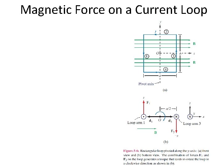 Magnetic Force on a Current Loop 