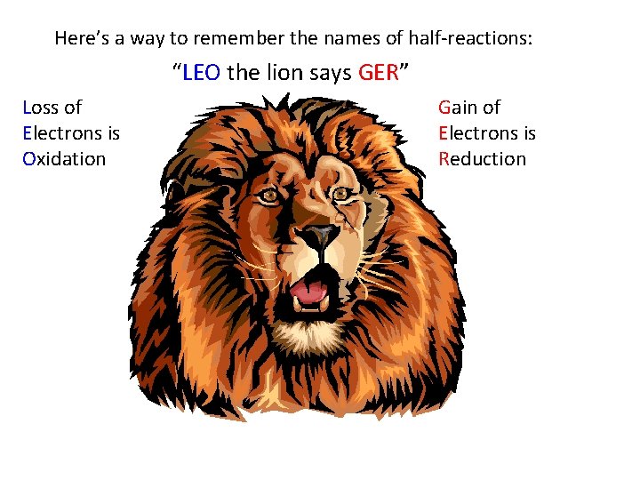 Here’s a way to remember the names of half-reactions: “LEO the lion says GER”