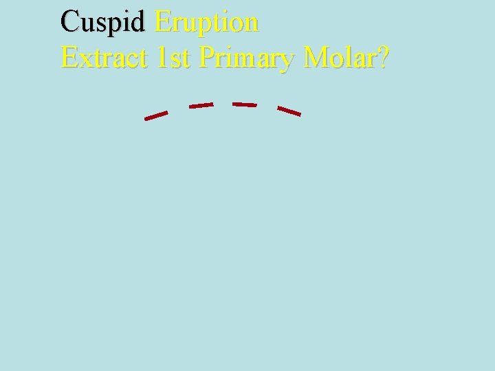 Cuspid Eruption Extract 1 st Primary Molar? 