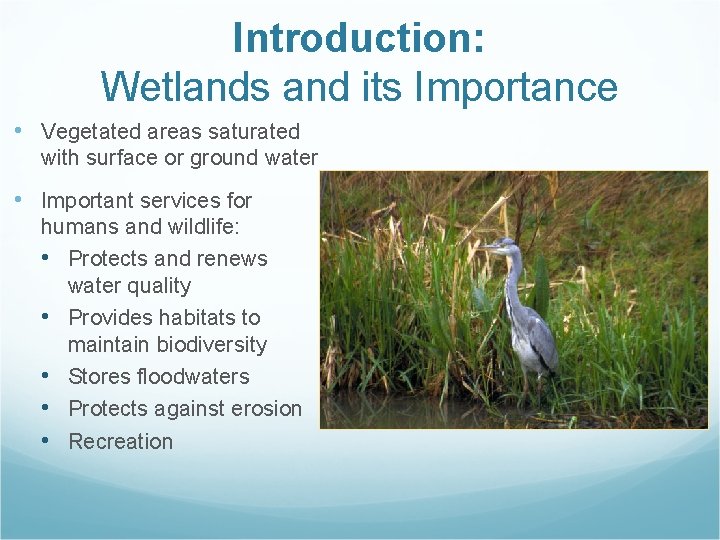 Introduction: Wetlands and its Importance • Vegetated areas saturated with surface or ground water