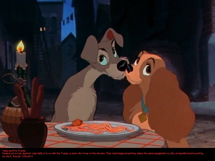 'Lady and the Tramp' Pampered cocker spaniel Lady falls in love with the Tramp,