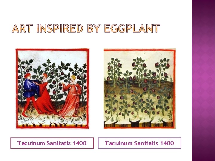 Tacuinum Sanitatis 1400 