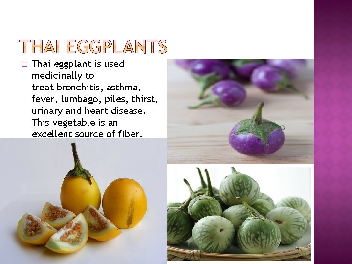 � Thai eggplant is used medicinally to treat bronchitis, asthma, fever, lumbago, piles, thirst,