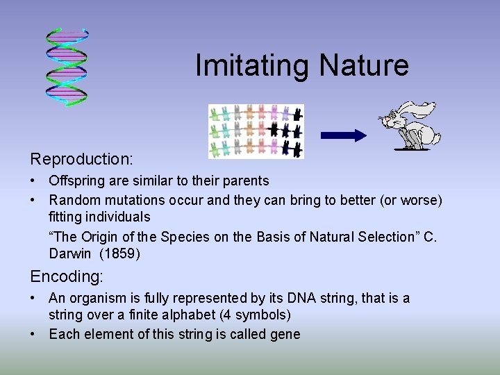 Imitating Nature Reproduction: • Offspring are similar to their parents • Random mutations occur
