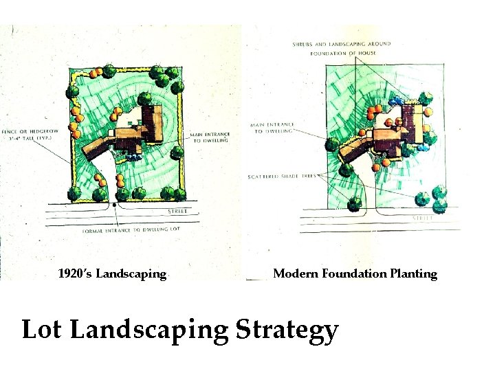 1920’s Landscaping Modern Foundation Planting Lot Landscaping Strategy 