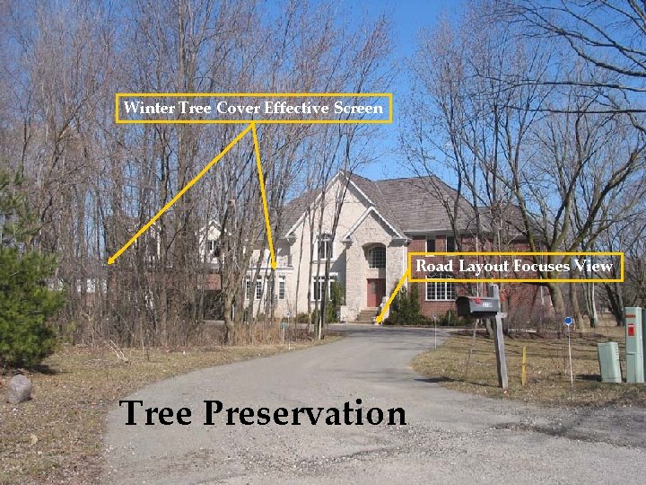 Winter Tree Cover Effective Screen Road Layout Focuses View Tree Preservation 