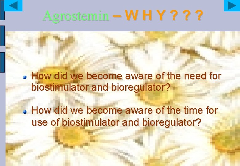 Agrostemin – W H Y ? ? ? How did we become aware of