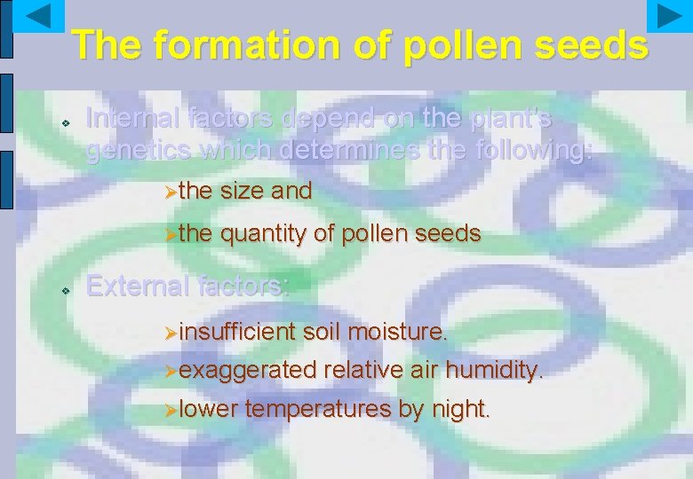 The formation of pollen seeds v v Internal factors depend on the plant’s genetics