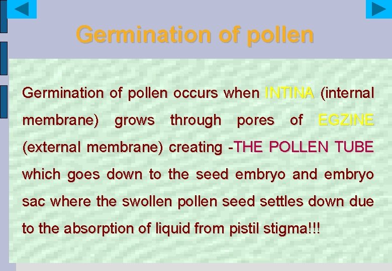 Germination of pollen occurs when INTINA (internal membrane) grows through pores of EGZINE (external