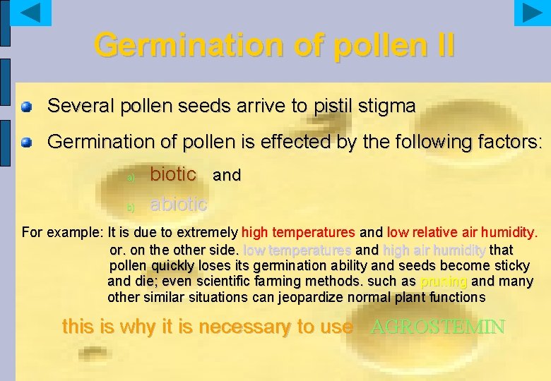 Germination of pollen II Several pollen seeds arrive to pistil stigma Germination of pollen