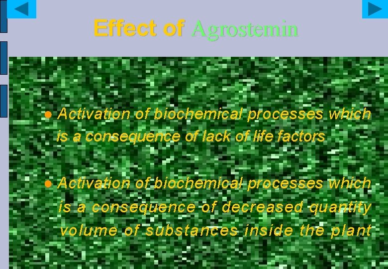 Effect of Agrostemin ● Activation of biochemical processes which is a consequence of lack