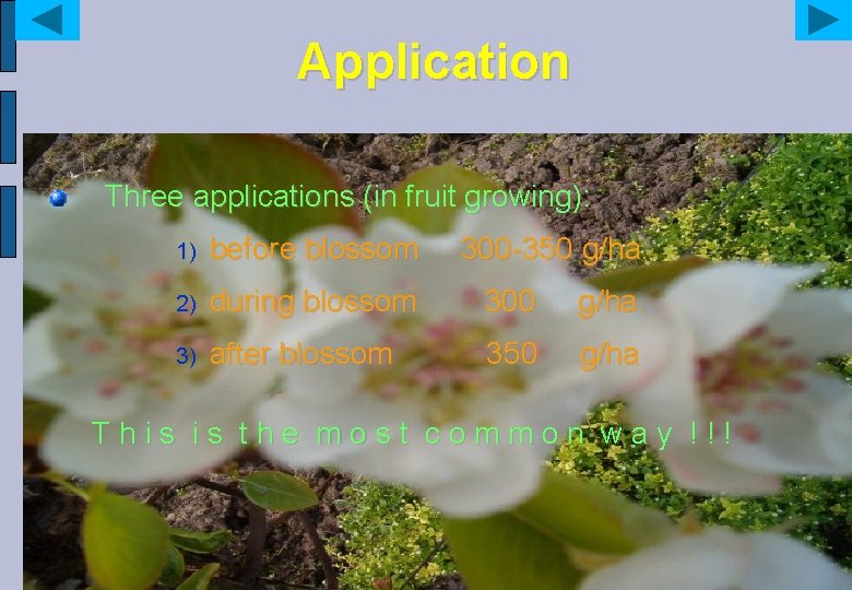 Application Three applications (in fruit growing): 1) before blossom 300 -350 g/ha. 2) during