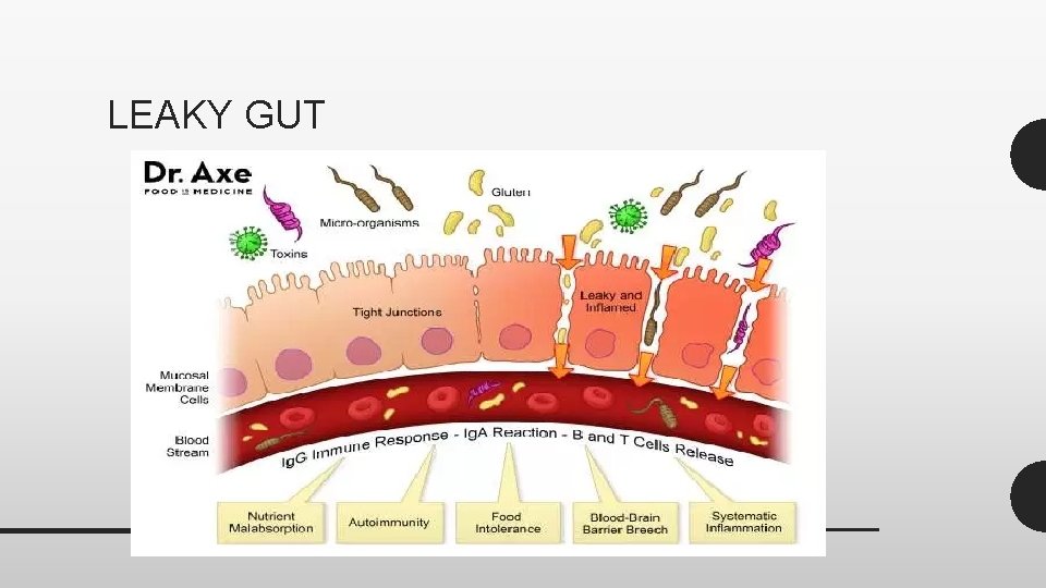 LEAKY GUT 