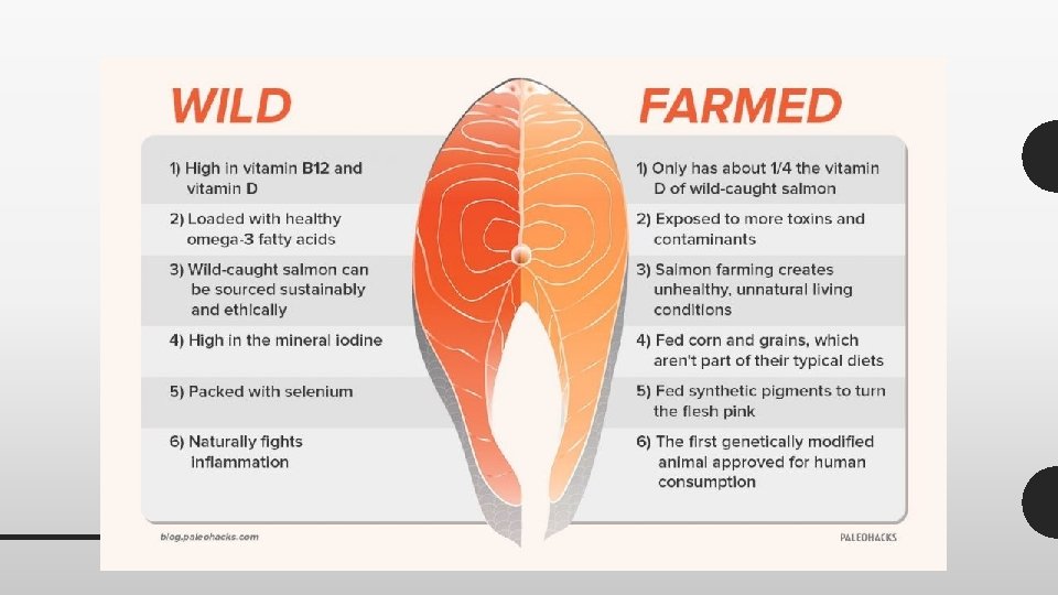 WILD CAUGHT VS. FARMED • Omega 3 and astaxanthin rich diets (algae, krill, plankton)