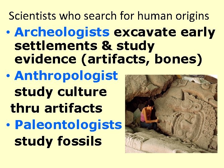 Scientists who search for human origins • Archeologists excavate early settlements & study evidence