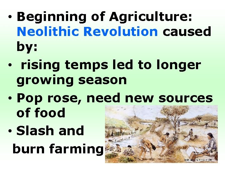  • Beginning of Agriculture: Neolithic Revolution caused by: • rising temps led to