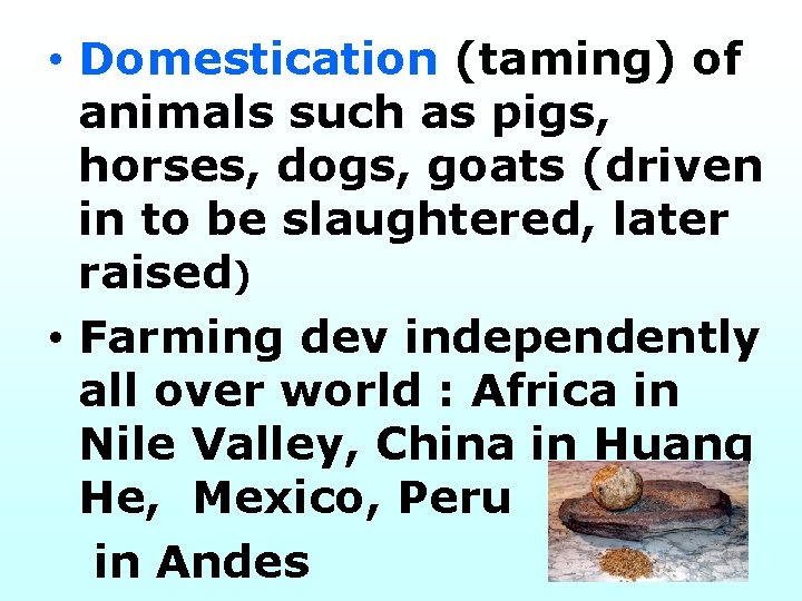  • Domestication (taming) of animals such as pigs, horses, dogs, goats (driven in