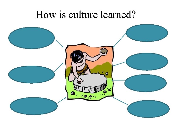 How is culture learned? 