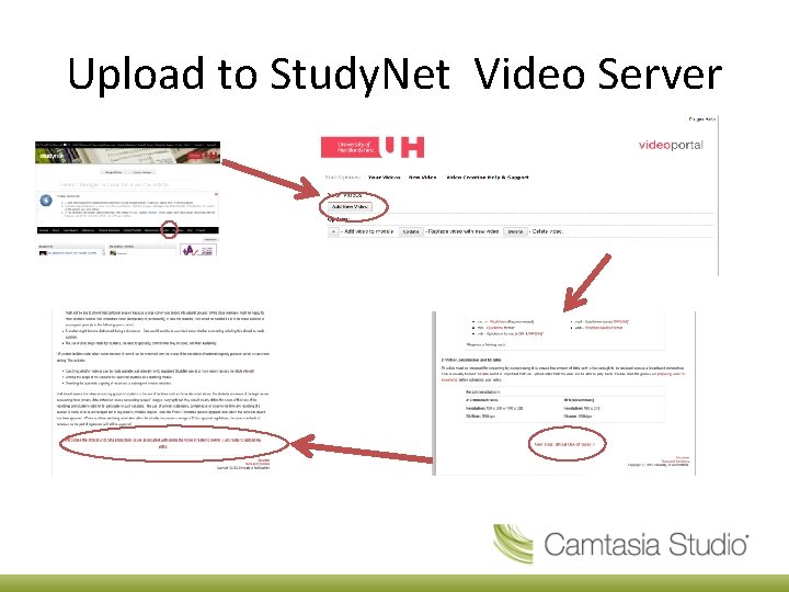 Upload to Study. Net Video Server 