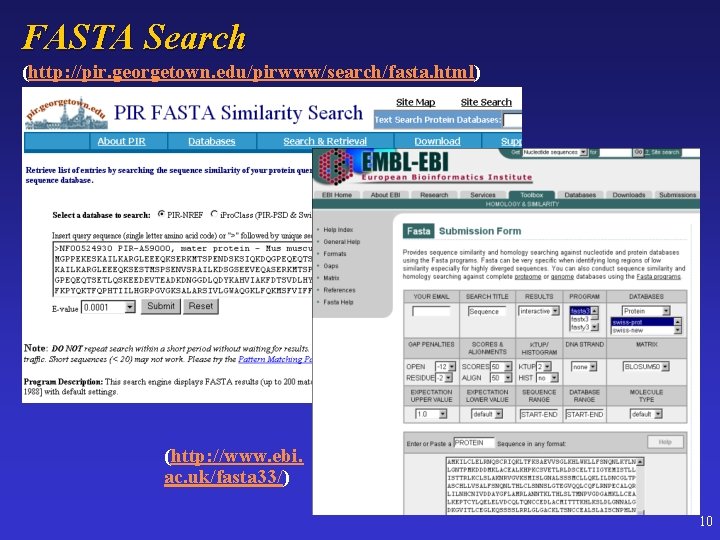 FASTA Search (http: //pir. georgetown. edu/pirwww/search/fasta. html) (http: //www. ebi. ac. uk/fasta 33/) 10