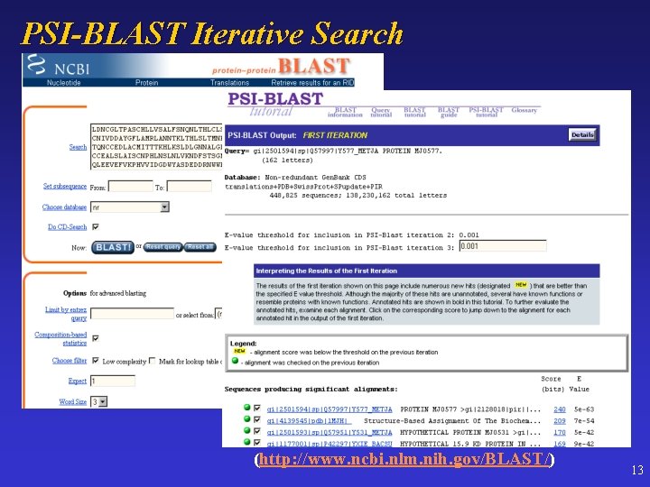 PSI-BLAST Iterative Search (http: //www. ncbi. nlm. nih. gov/BLAST/) 13 