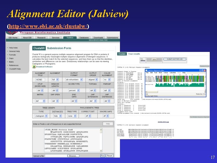 Alignment Editor (Jalview) (http: //www. ebi. ac. uk/clustalw/) 17 