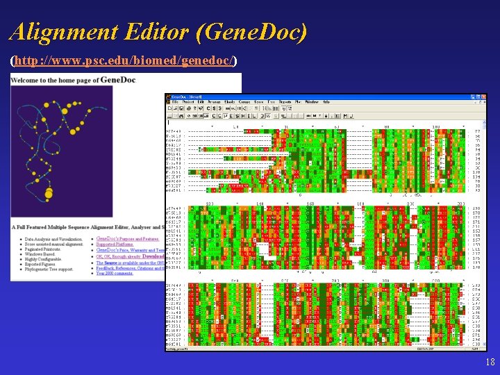 Alignment Editor (Gene. Doc) (http: //www. psc. edu/biomed/genedoc/) 18 
