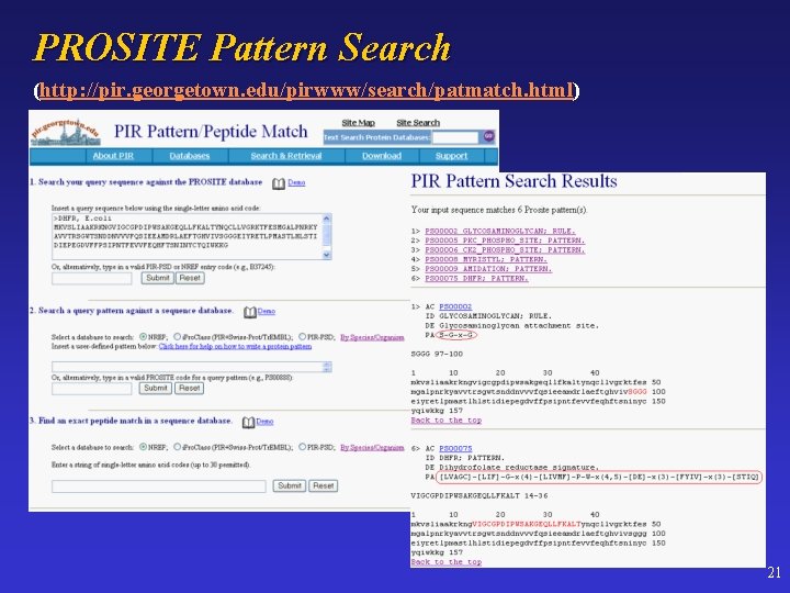 PROSITE Pattern Search (http: //pir. georgetown. edu/pirwww/search/patmatch. html) 21 