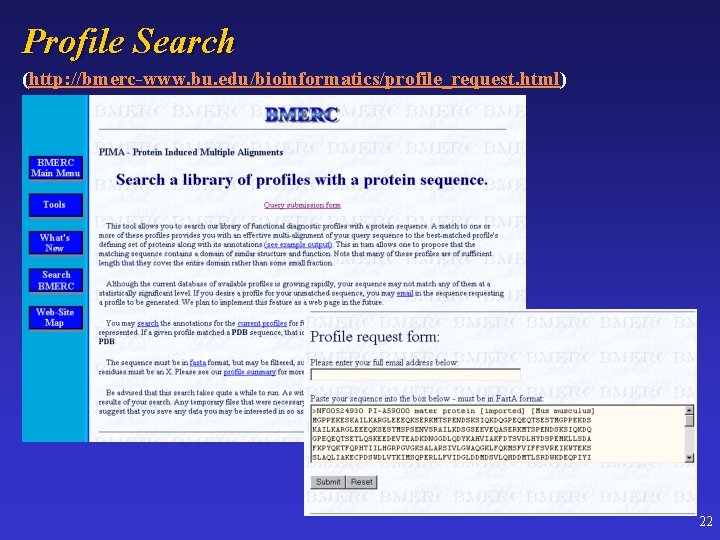 Profile Search (http: //bmerc-www. bu. edu/bioinformatics/profile_request. html) 22 