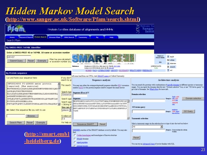 Hidden Markov Model Search (http: //www. sanger. ac. uk/Software/Pfam/search. shtml) (http: //smart. embl -heidelberg.
