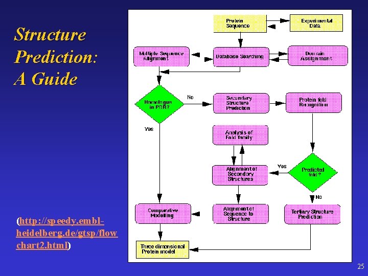 Structure Prediction: A Guide (http: //speedy. emblheidelberg. de/gtsp/flow chart 2. html) 25 