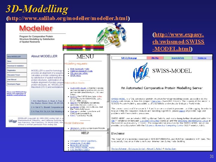 3 D-Modelling (http: //www. salilab. org/modeller. html) (http: //www. expasy. ch/swissmod/SWISS -MODEL. html) 31