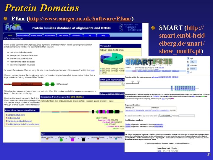 Protein Domains Pfam (http: //www. sanger. ac. uk/Software/Pfam/) SMART (http: // smart. embl-heid elberg.
