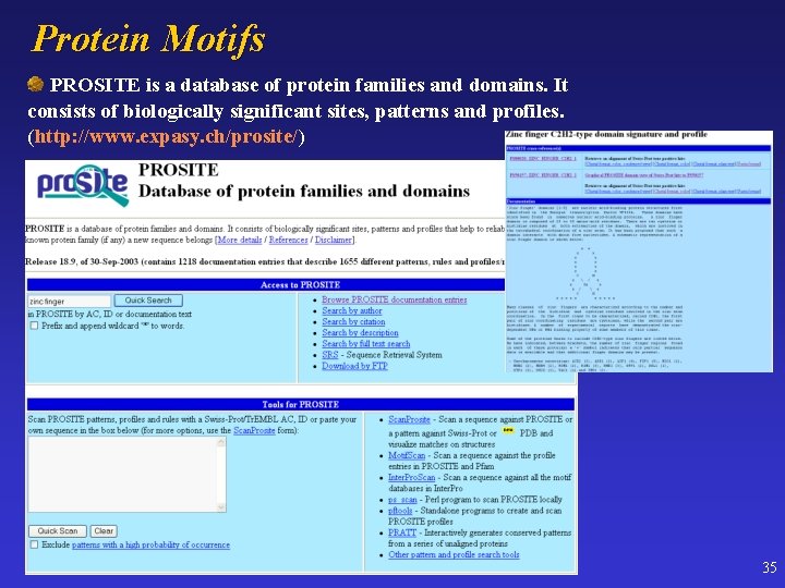 Protein Motifs PROSITE is a database of protein families and domains. It consists of