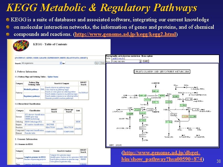 KEGG Metabolic & Regulatory Pathways KEGG is a suite of databases and associated software,
