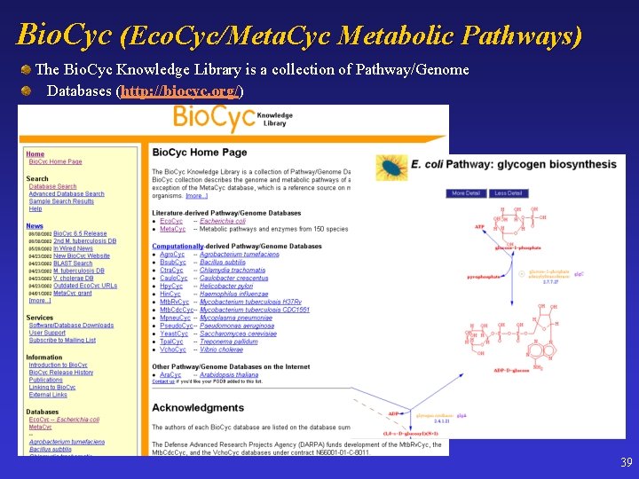 Bio. Cyc (Eco. Cyc/Meta. Cyc Metabolic Pathways) The Bio. Cyc Knowledge Library is a