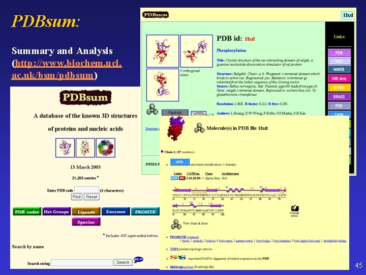 PDBsum: Summary and Analysis (http: //www. biochem. ucl. ac. uk/bsm/pdbsum) 45 