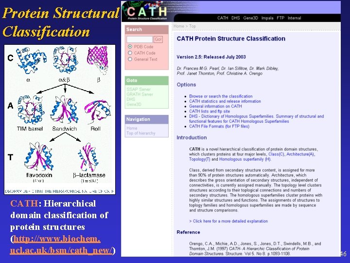 Protein Structural Classification CATH: Hierarchical domain classification of protein structures (http: //www. biochem. ucl.